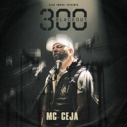 Cover of 300 Blackout