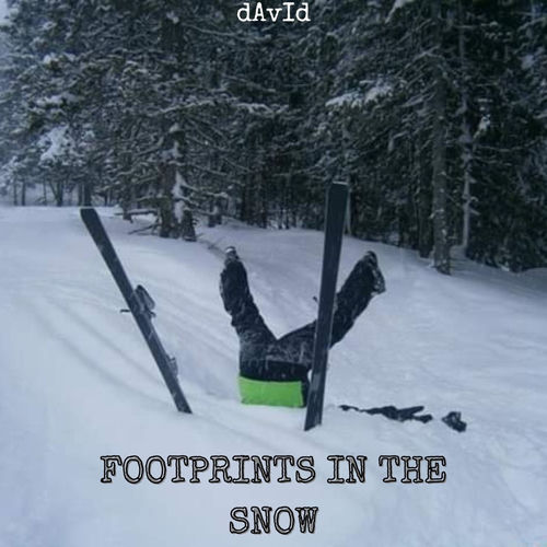 Footprints in the Snow