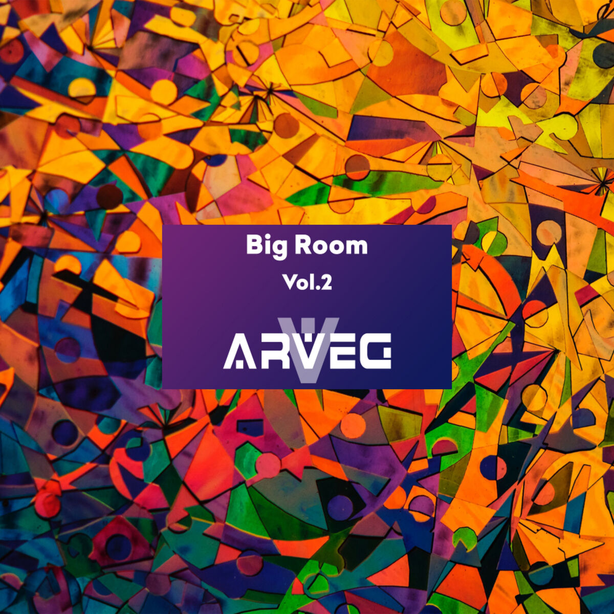 Album cover of ARVEG Big Room, Vol.2