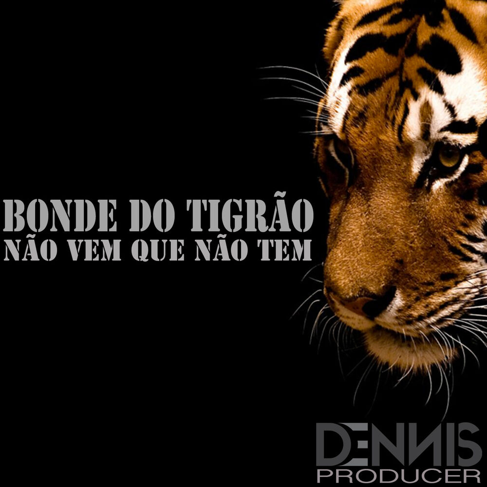 Picture of Não Vem Que Não Tem