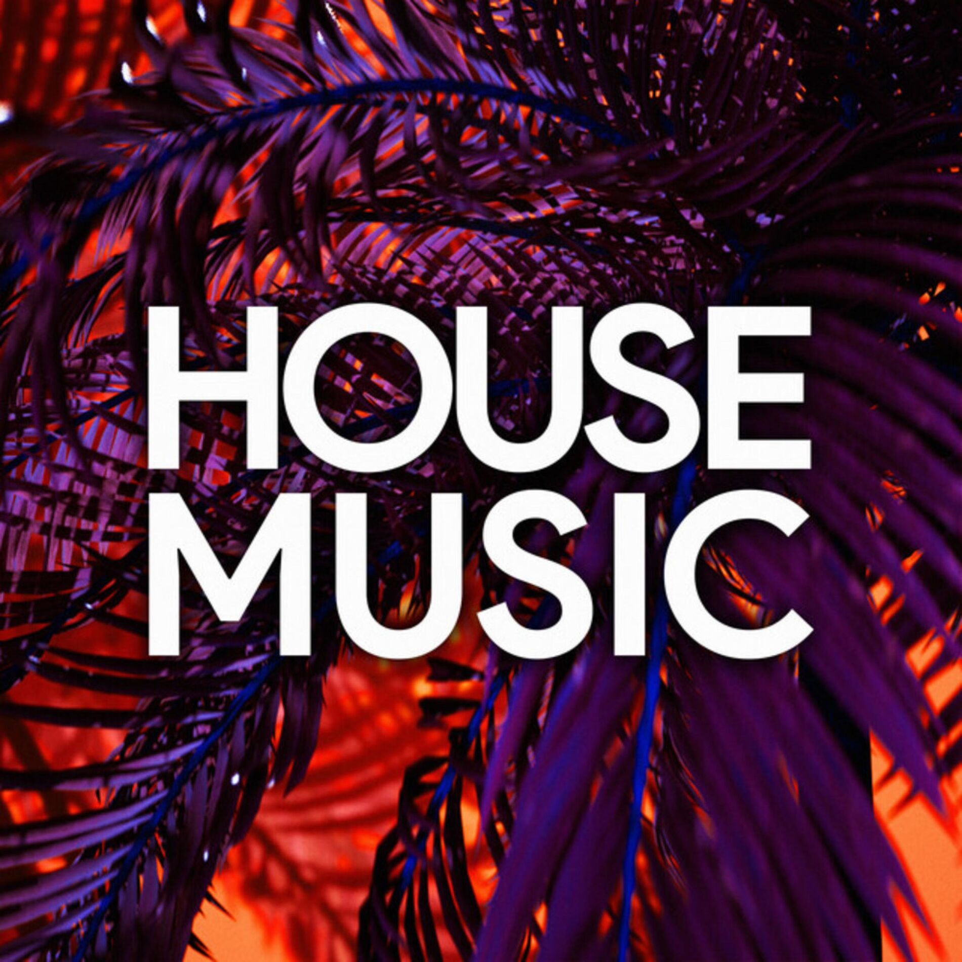 Album cover of Kano (My House (Set Octubre 2022)
