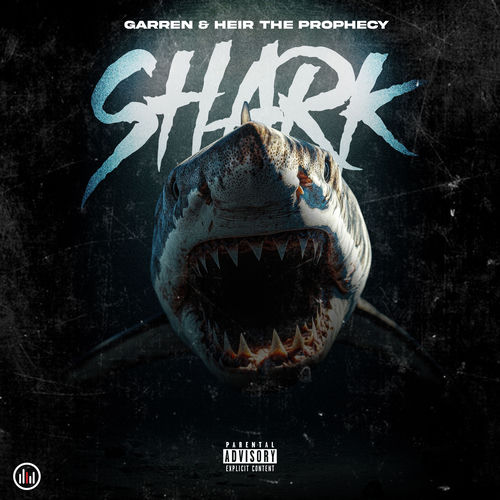 Shark artwork