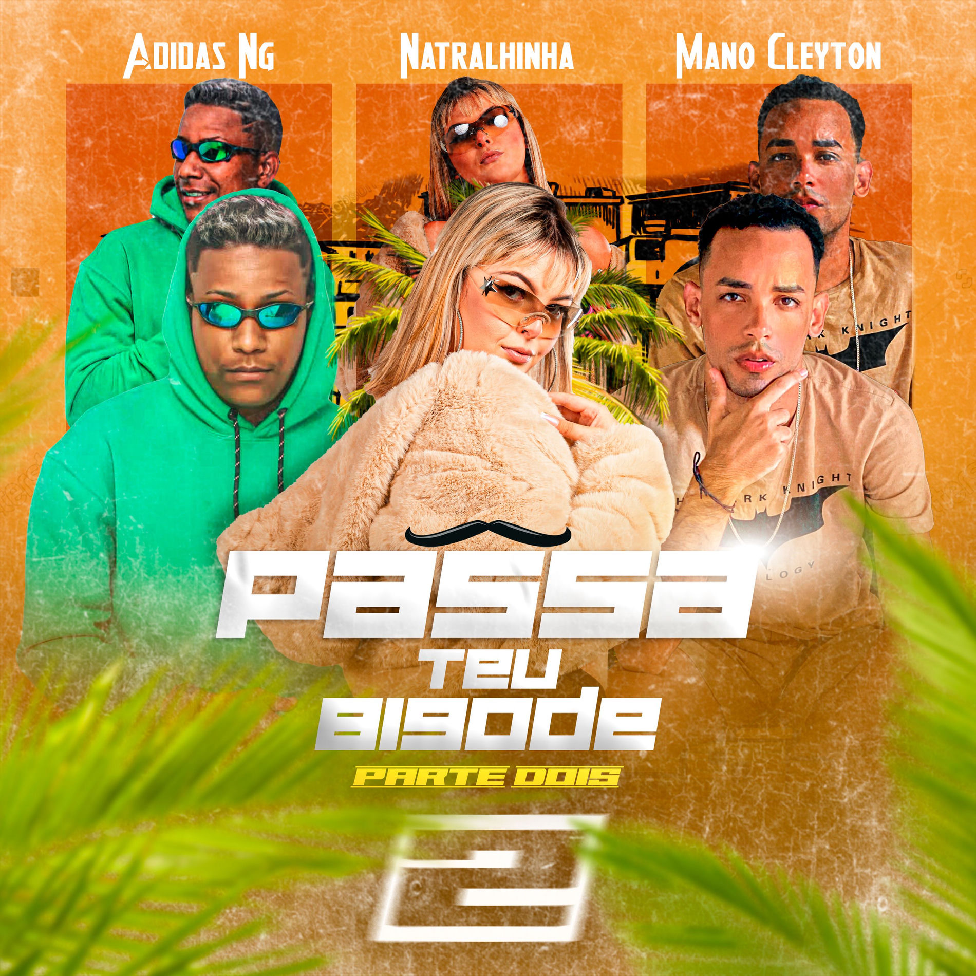 Album cover of Passa Teu Bigode 2