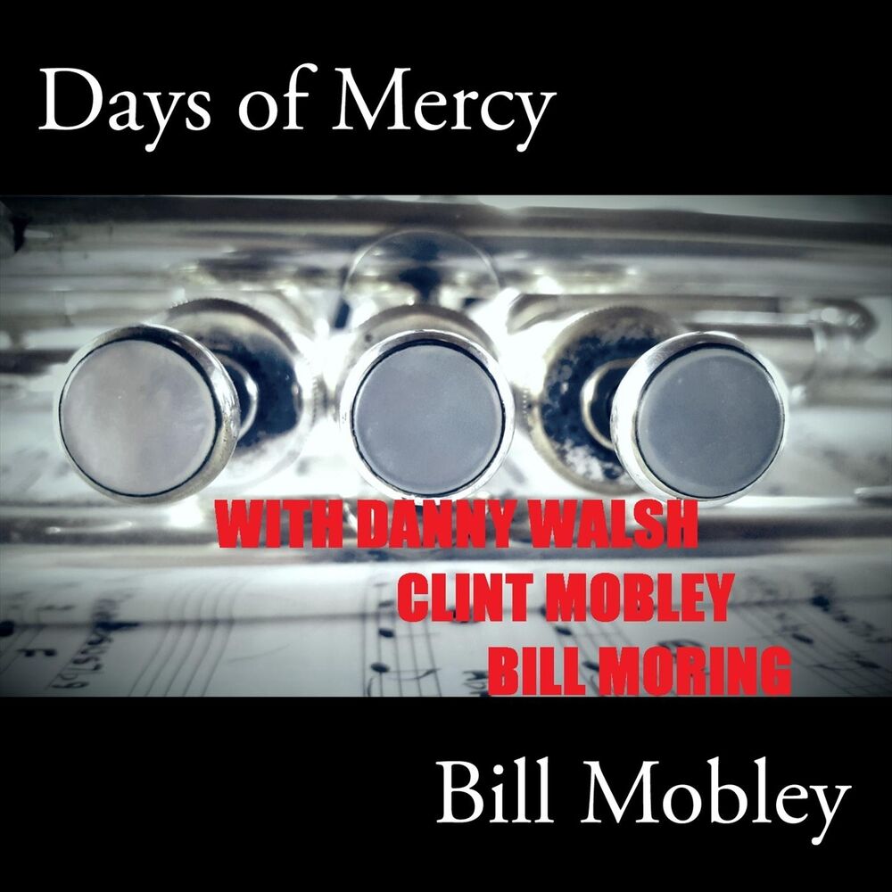Picture of Days of Mercy