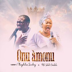 Cover of Onu Amonu