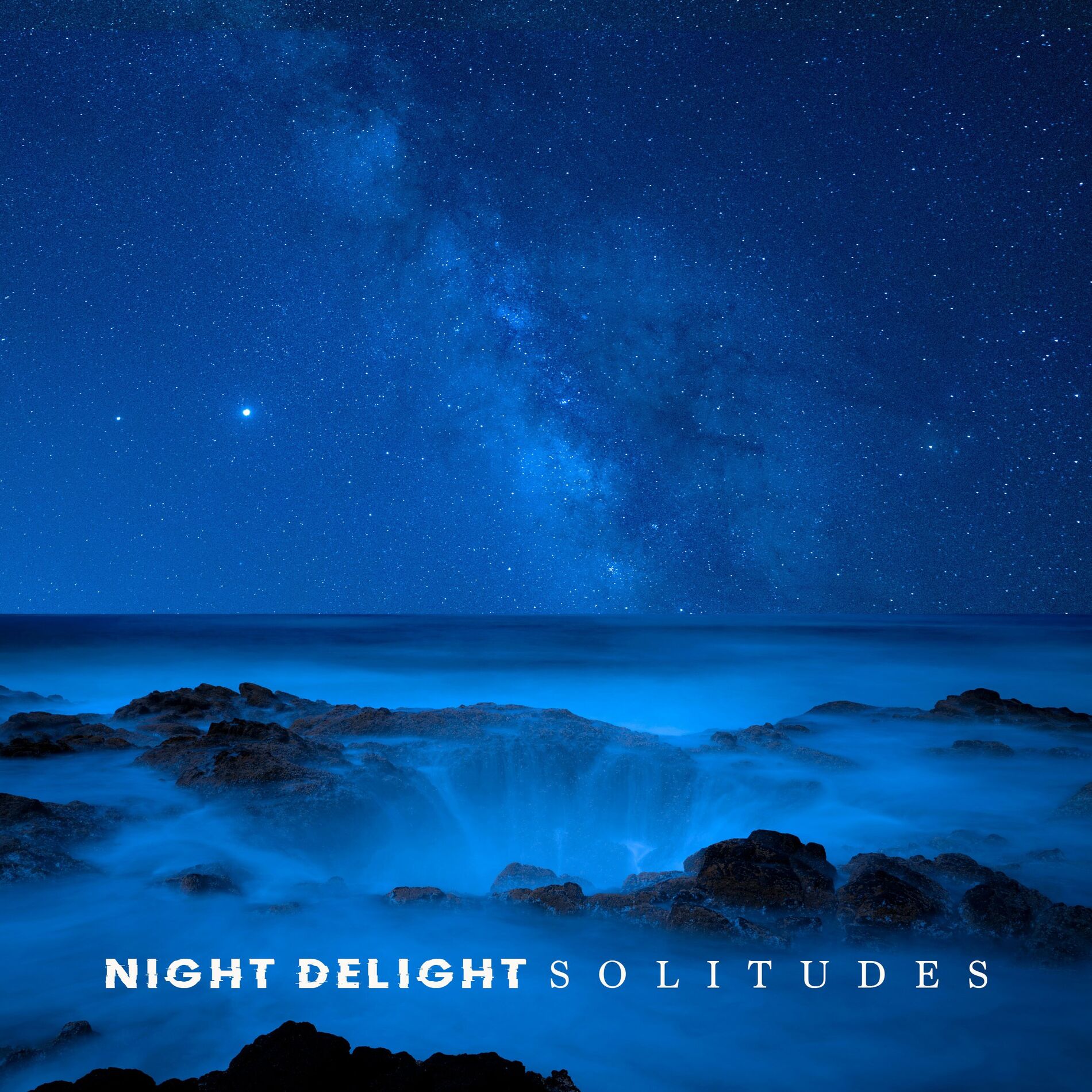 Album cover of Night Delight
