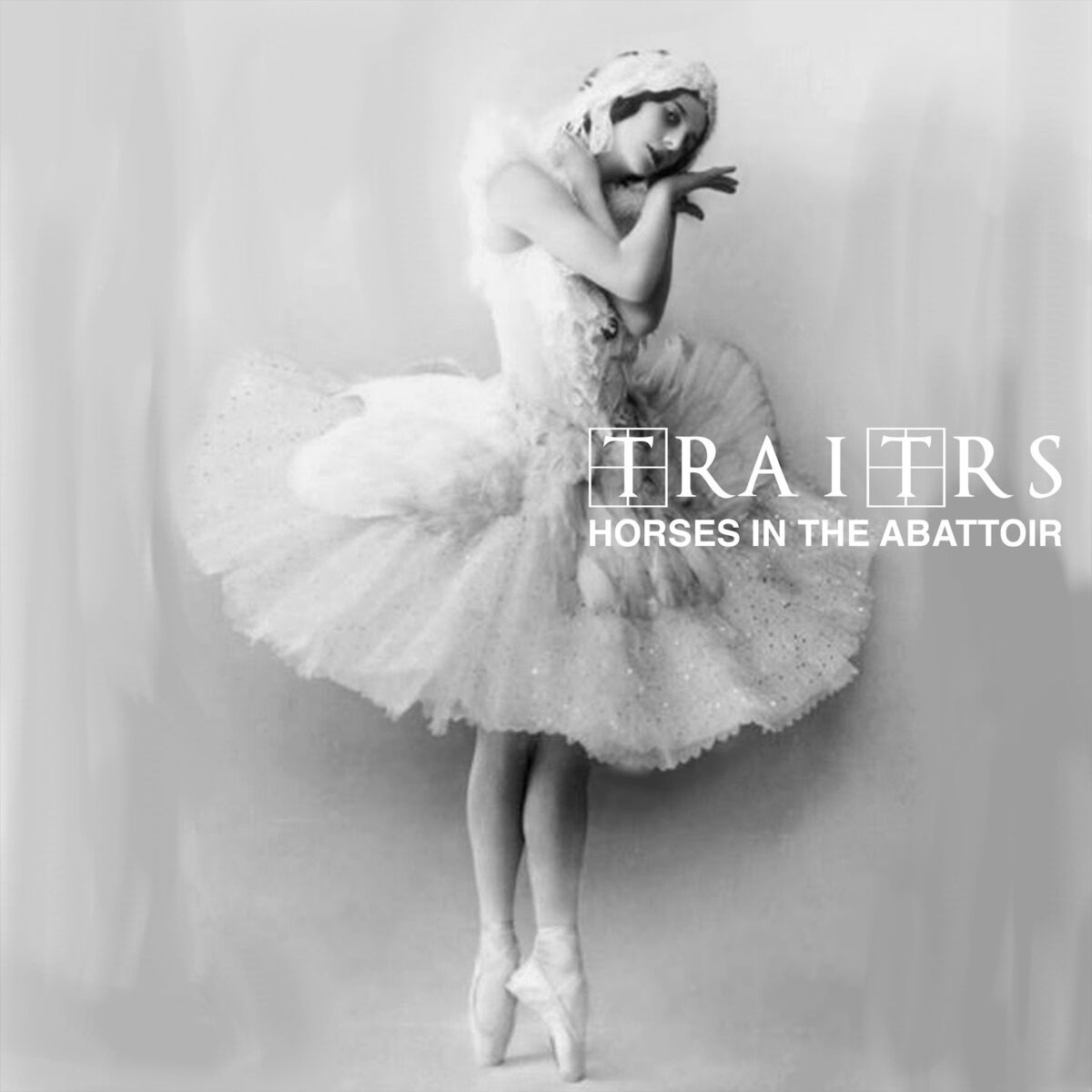Album cover of Horses in the Abattoir