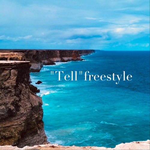 诉Freestyle