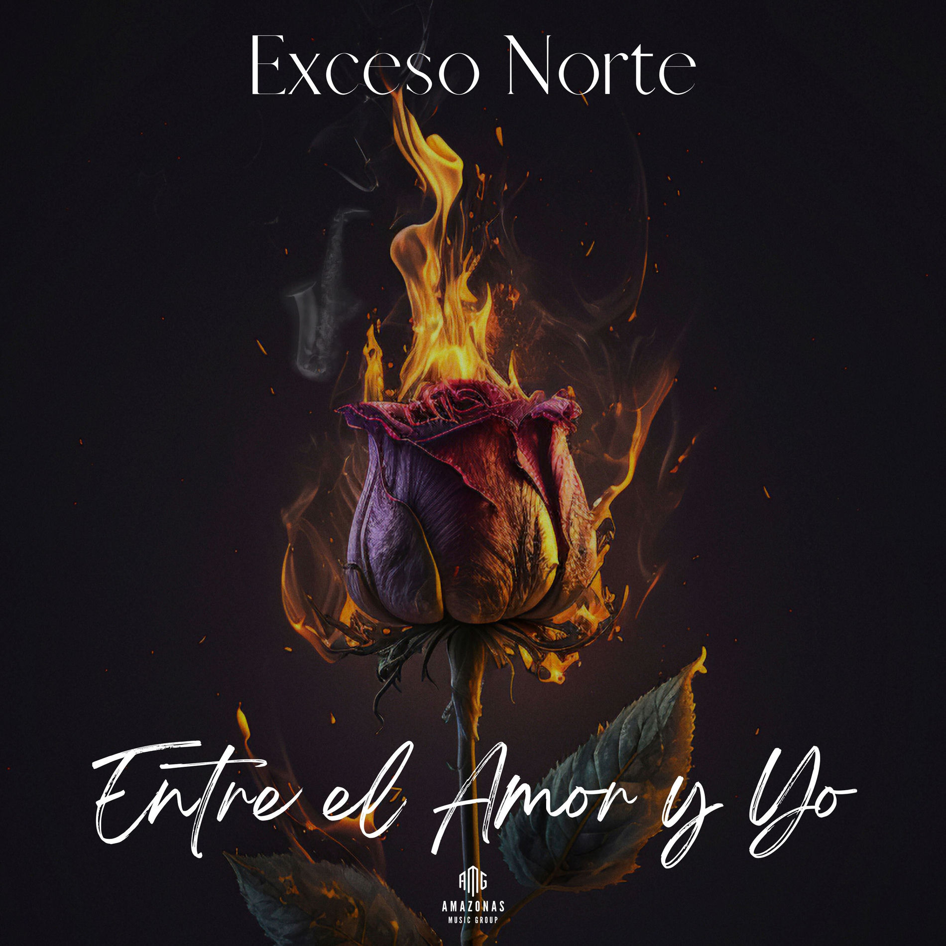 Album cover of Entre El Amor y Yo