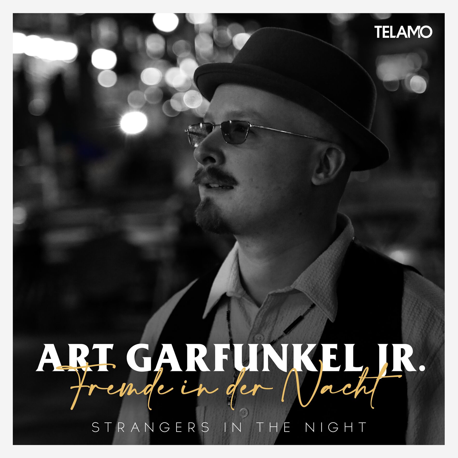 Album cover of Fremde in der Nacht (Strangers In The Night)