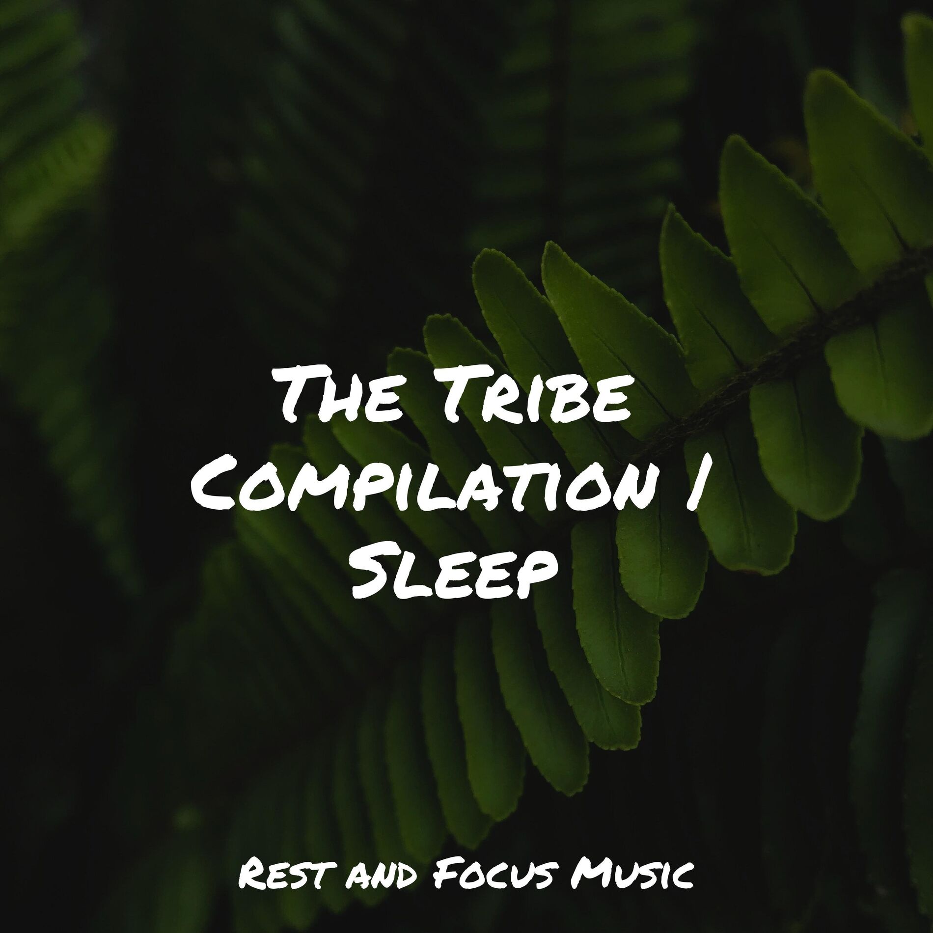Album cover of The Tribe Compilation | Sleep