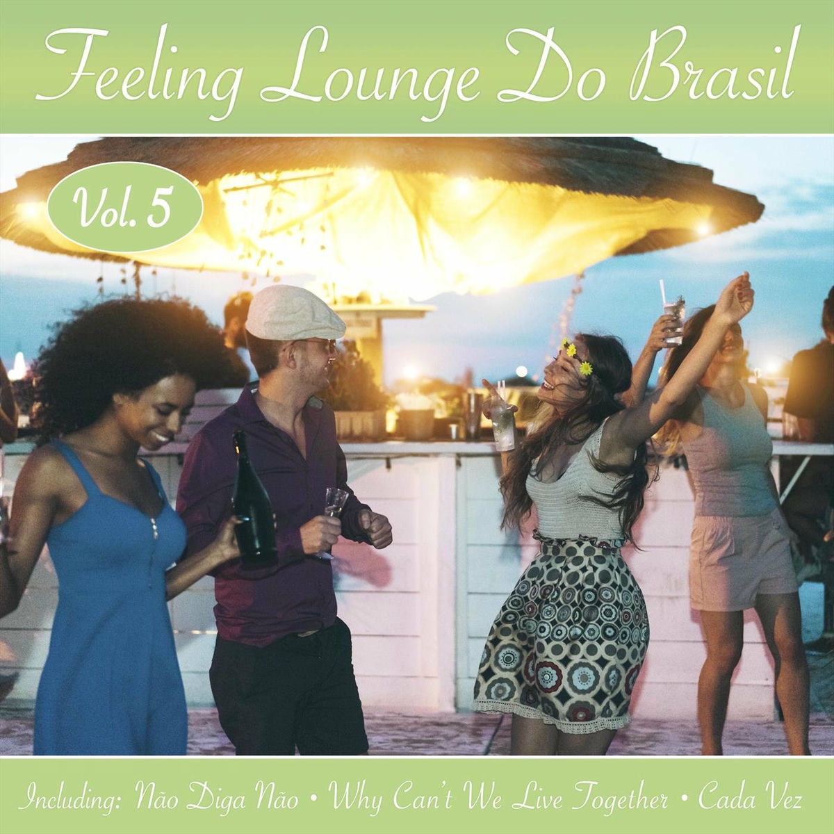 Album cover of Feeling Lounge Do Brasil, Vol. 5