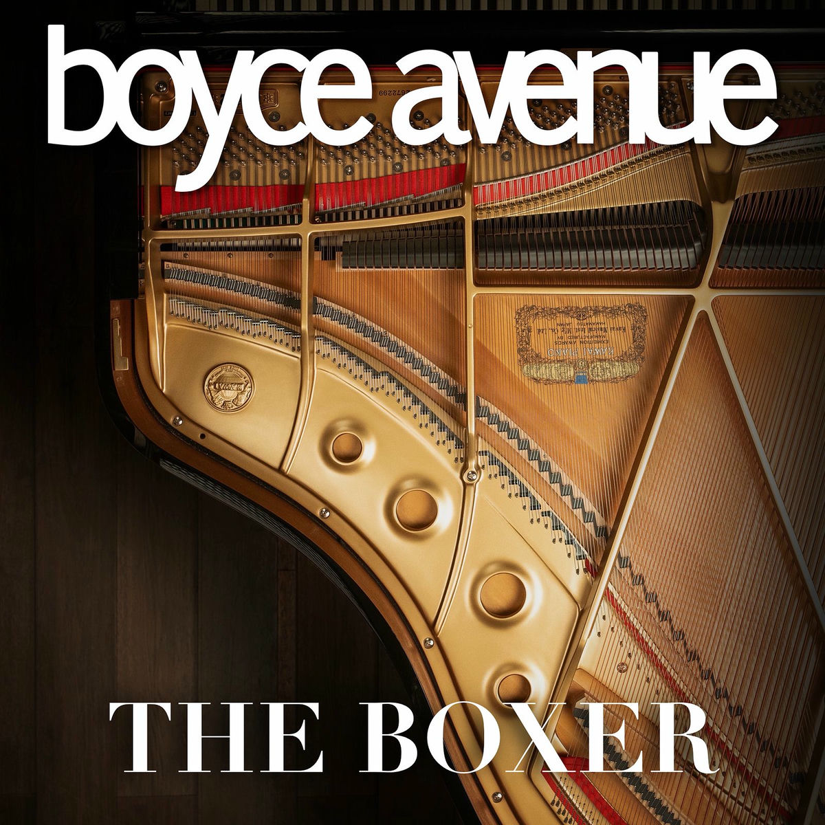 Album cover of The Boxer