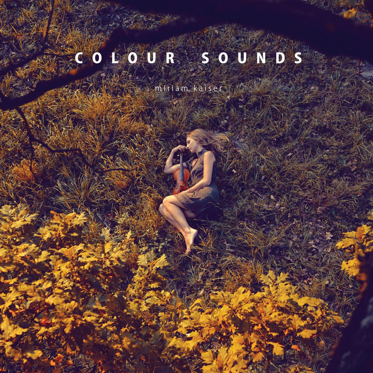 Album cover of Colour Sounds