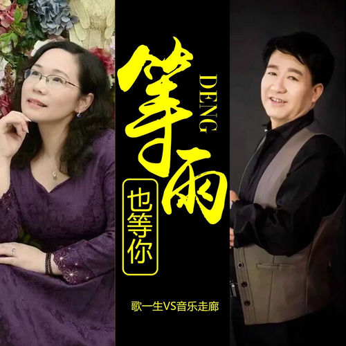 等雨也等你 (舞曲版)