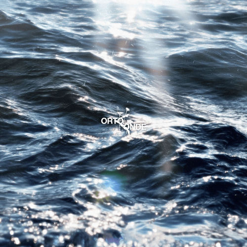 ORTO / ONDE (movimento)