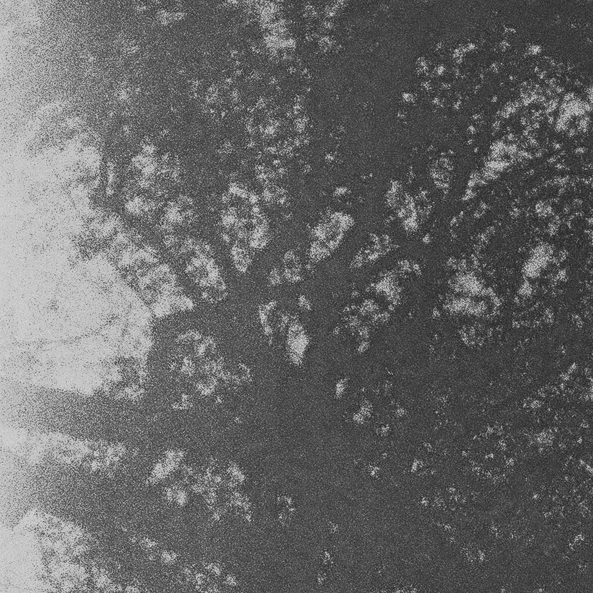 Album cover of Moonlit