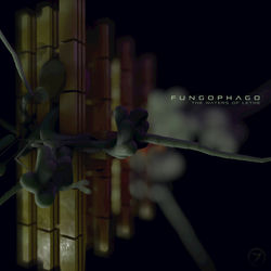 Descargar Teachings in Silence - Fungophago MP3