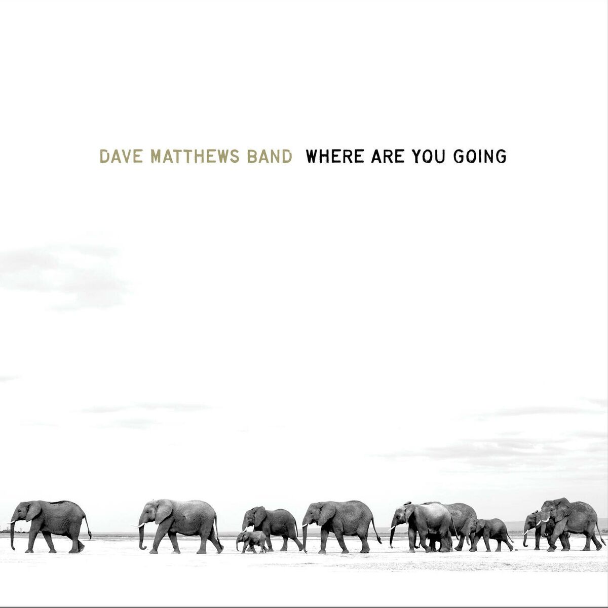 Album cover of Where Are You Going: The Singles