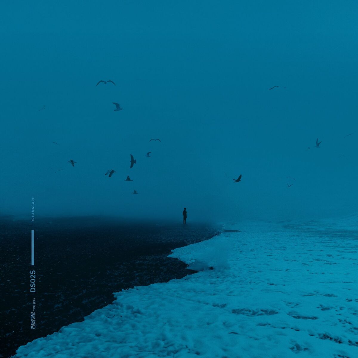 Album cover of Alone With You