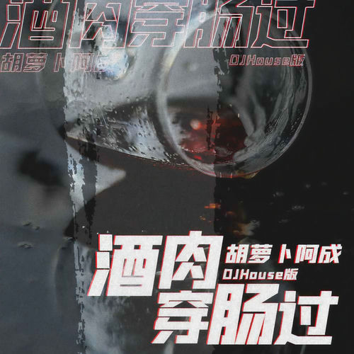 酒肉穿肠过(DJHouse版)