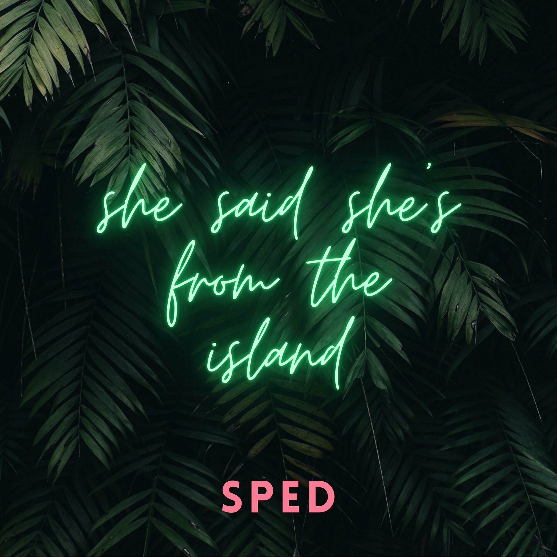 Album cover of She Said She's from the Islands (Kompa)