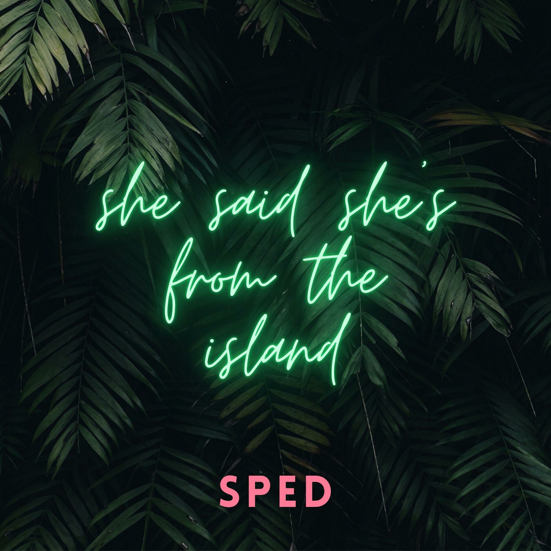 Album cover of She Said She's from the Islands (Kompa) [Sped]