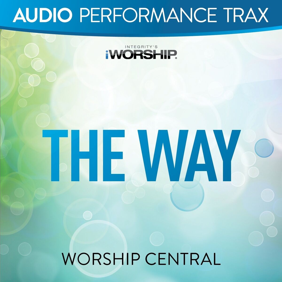 Album cover of The Way