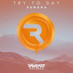 Cover of Try To Say