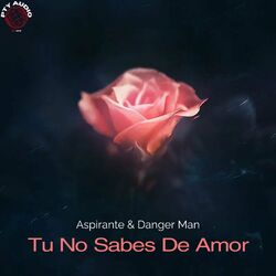 Cover of Tu No Sabes Amor