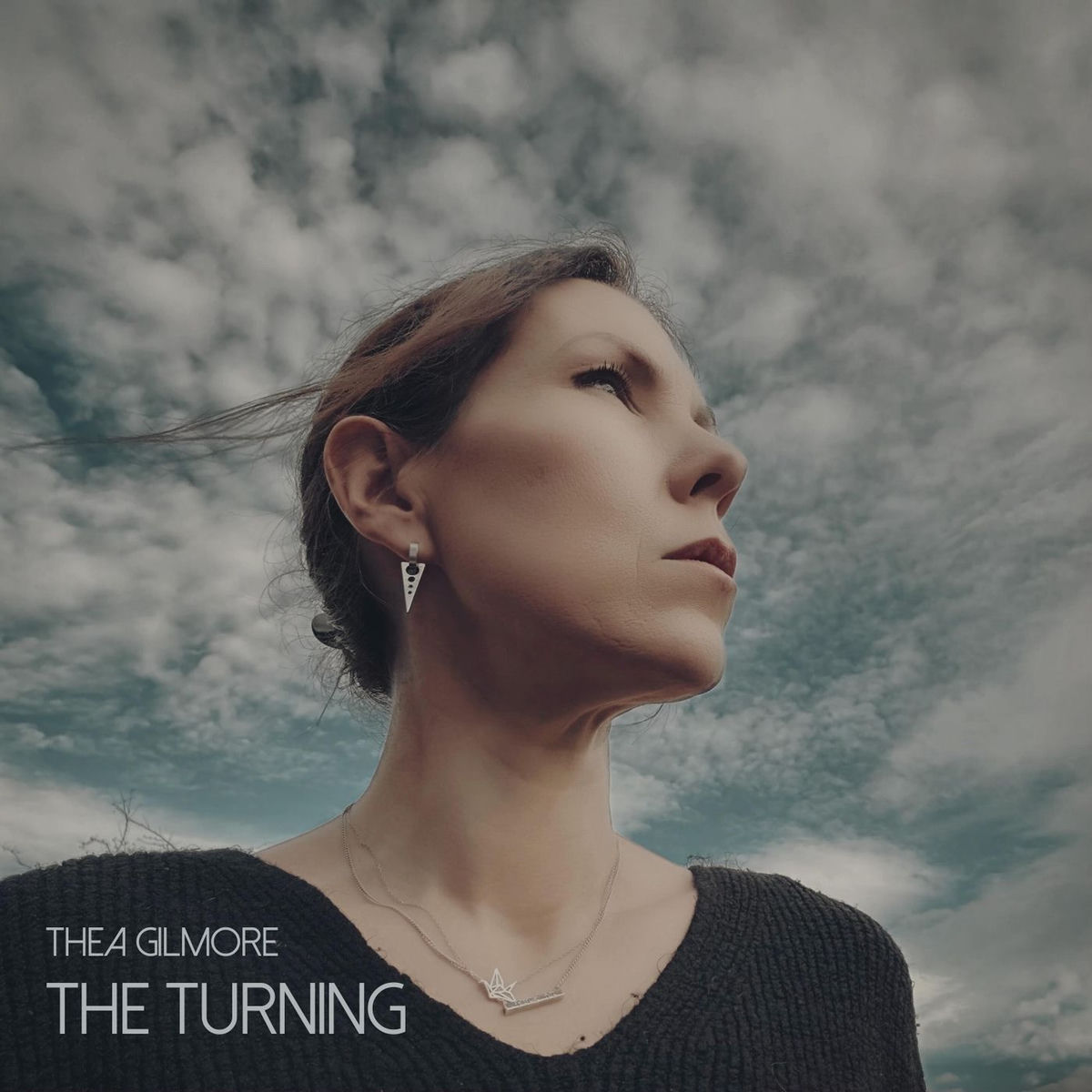 Album cover of The Turning