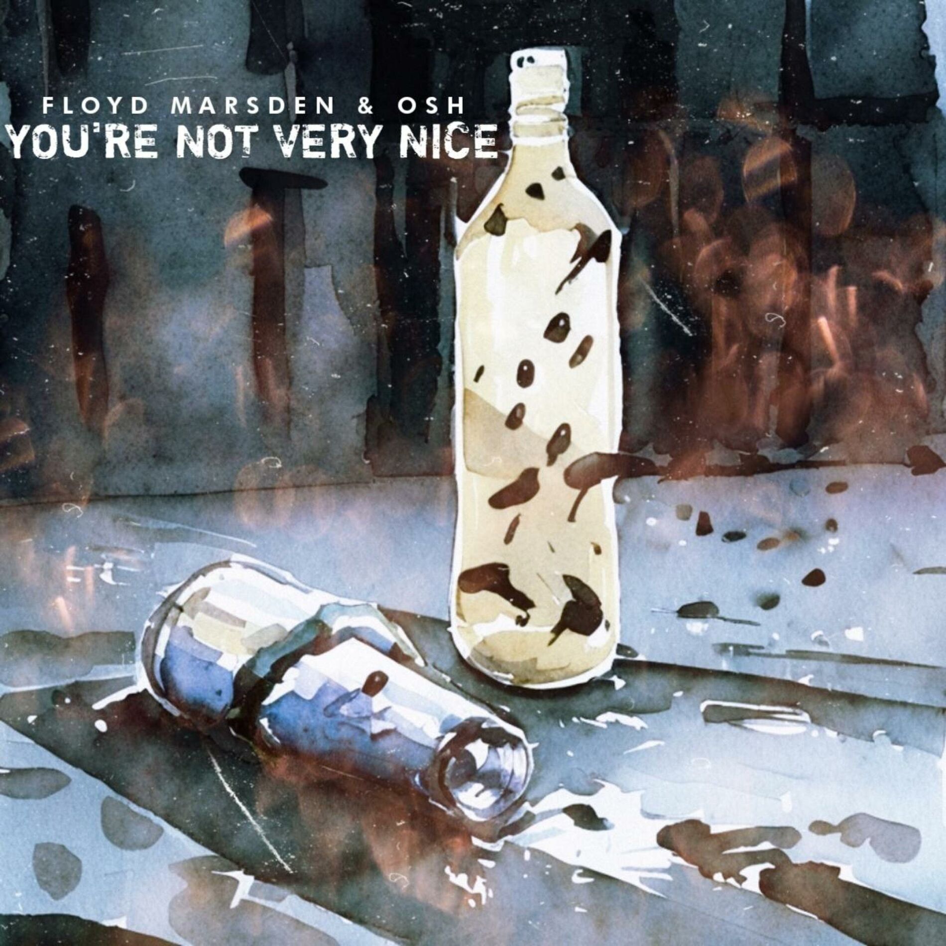 Album cover of You're Not Very Nice (feat. Osh)