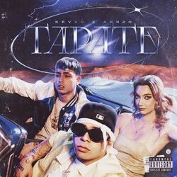 Cover of Tapate