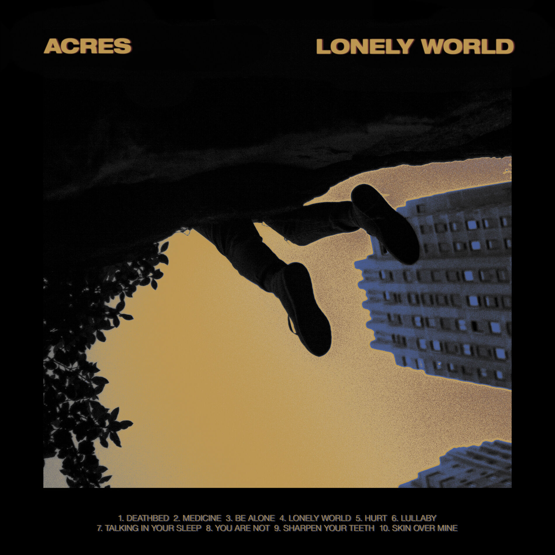 Album cover of Lonely World