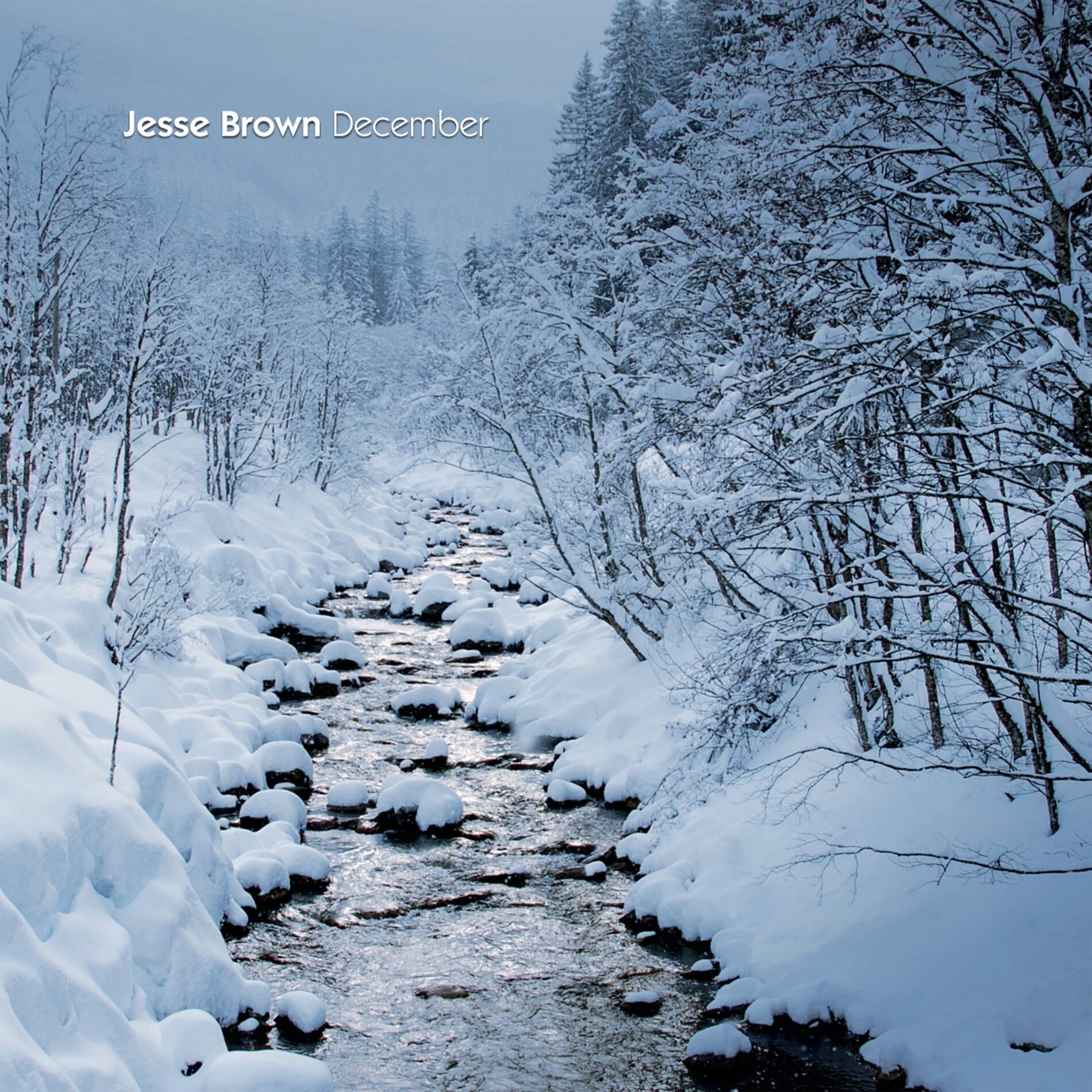 Album cover of December