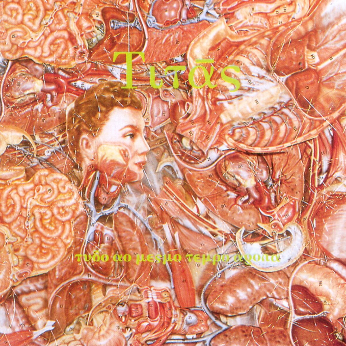 Album cover of Tudo Ao Mesmo Tempo Agora