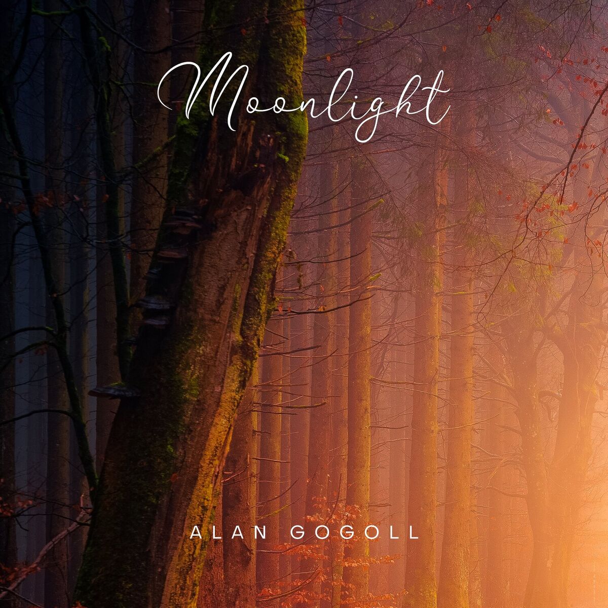 Album cover of Moonlight