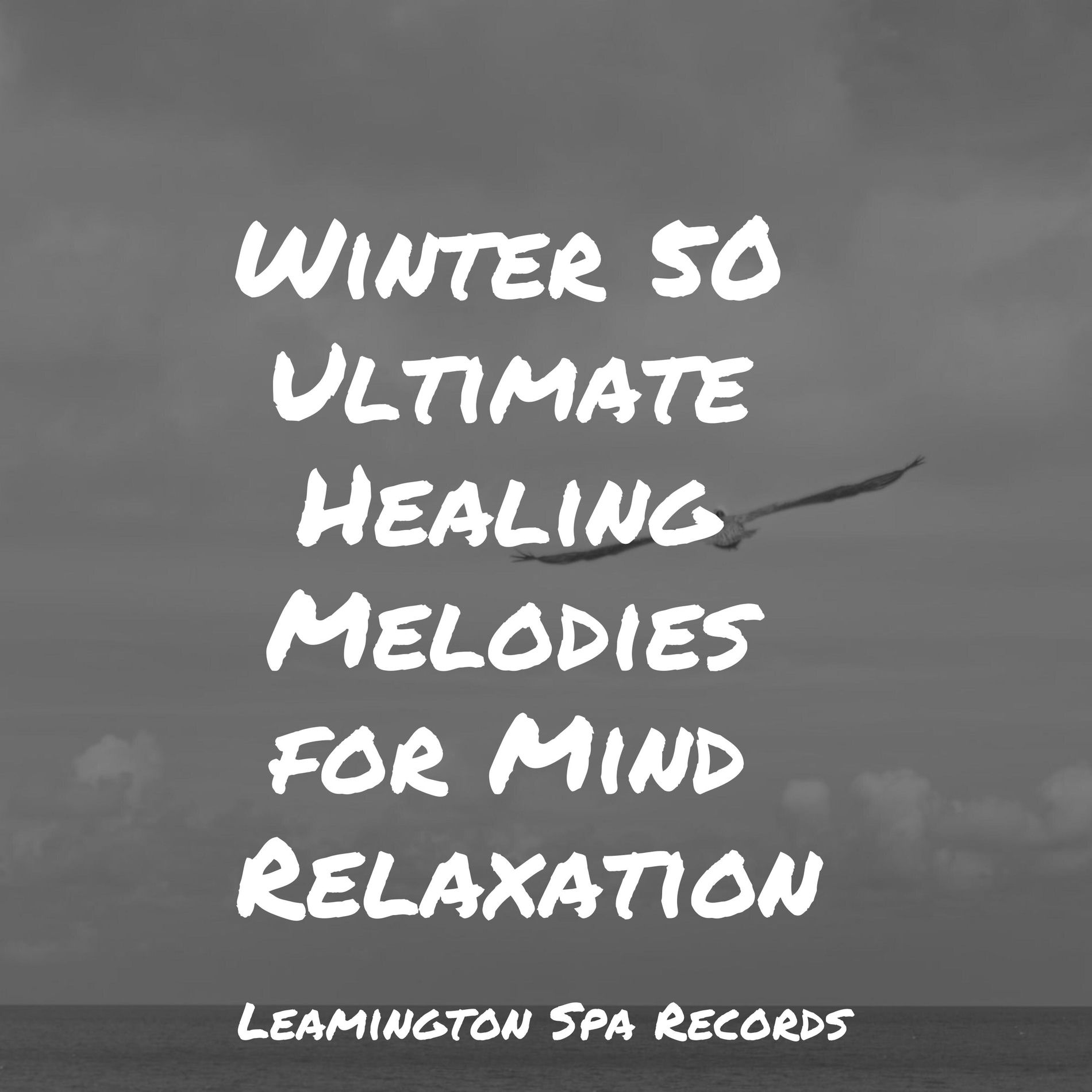 Album cover of Winter 50 Ultimate Healing Melodies for Mind Relaxation