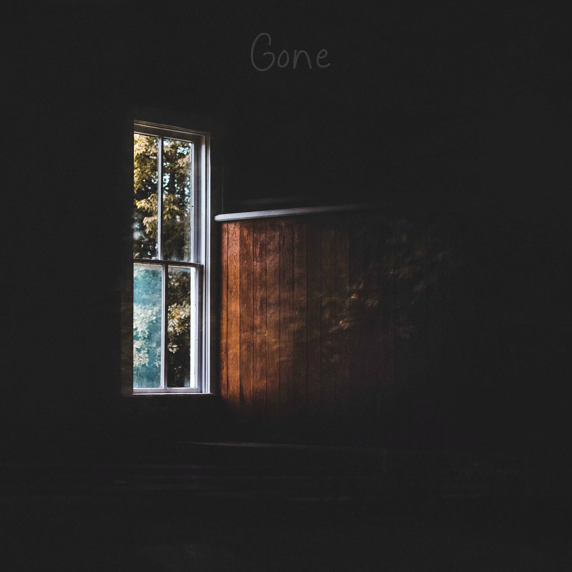 Album cover of Gone