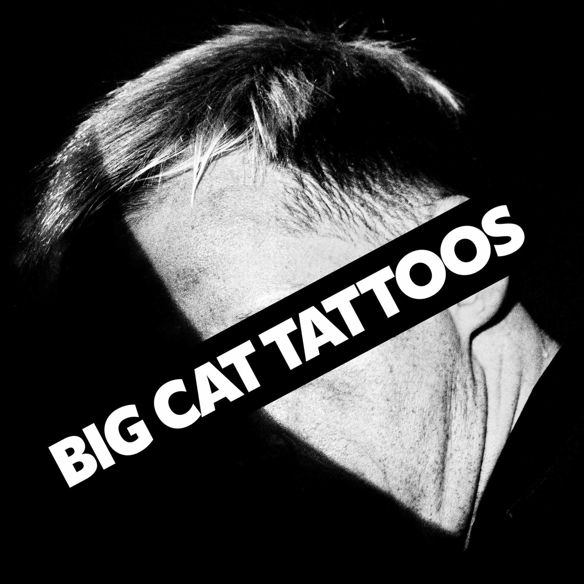 Album cover of Big Cat Tattoos