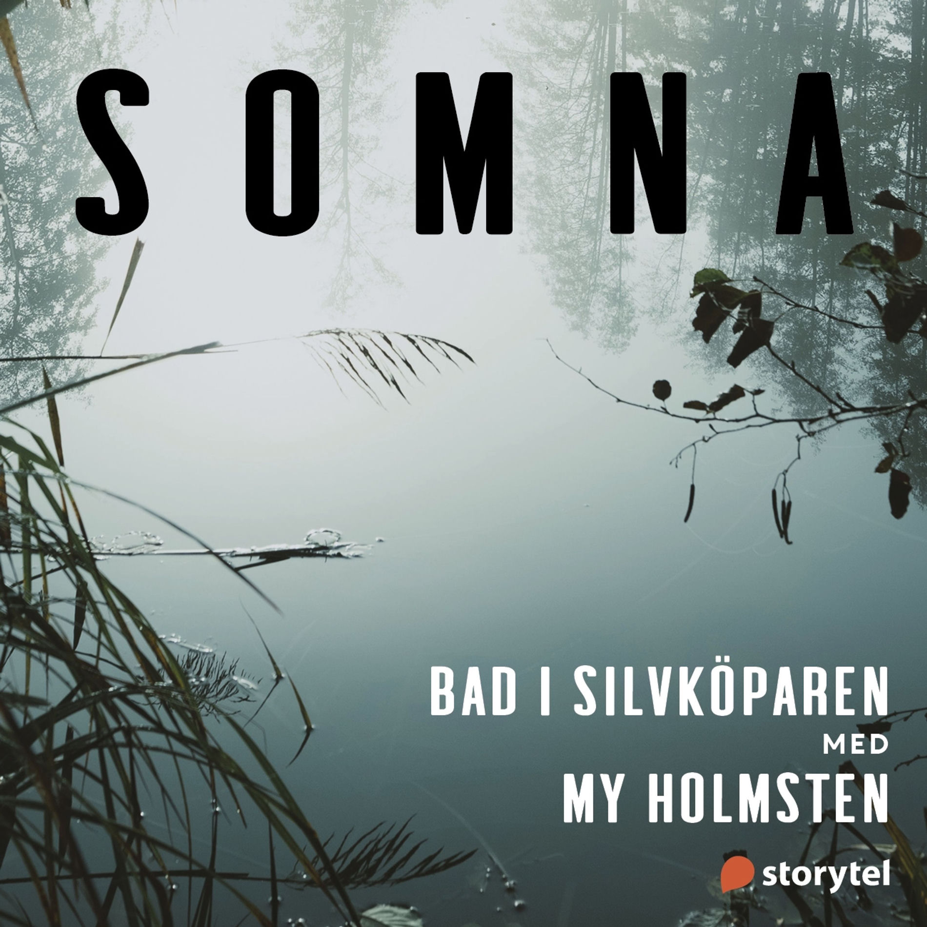 Album cover of Bad i Silvköparen