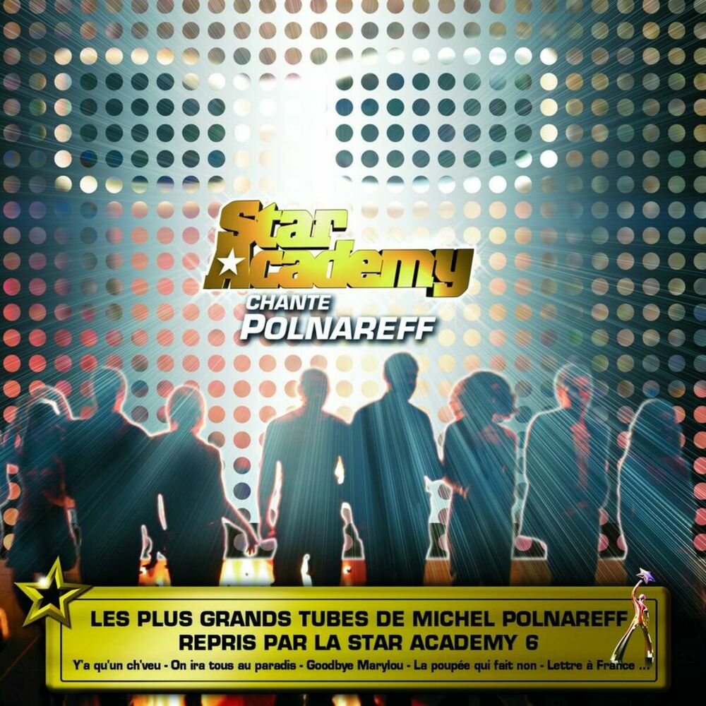 Picture of Tribute Star Academy - M.Polnareff