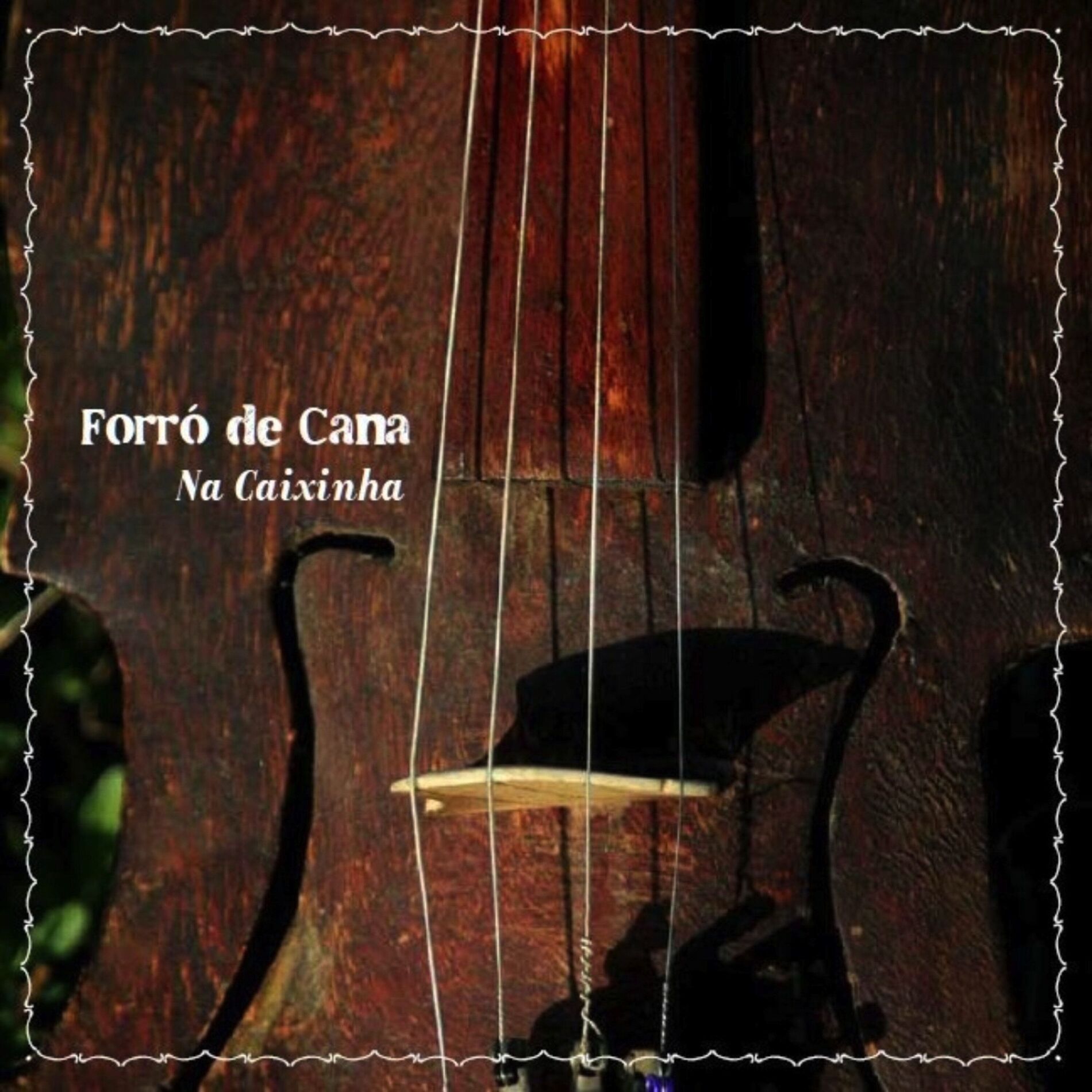 Album cover of Forró de Cana na caixinha