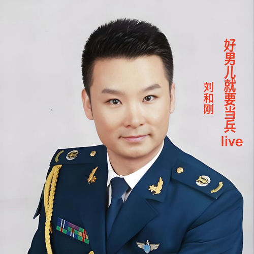 好男儿就要当兵 (Live)