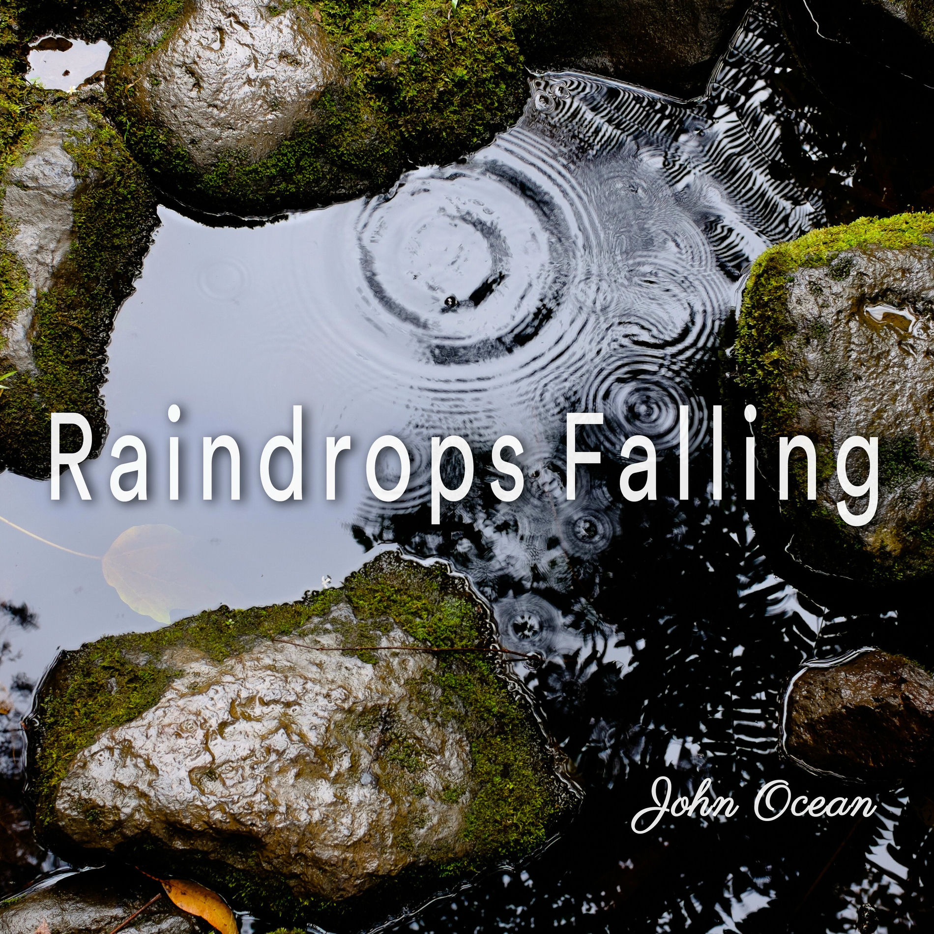 Album cover of Raindrops Falling