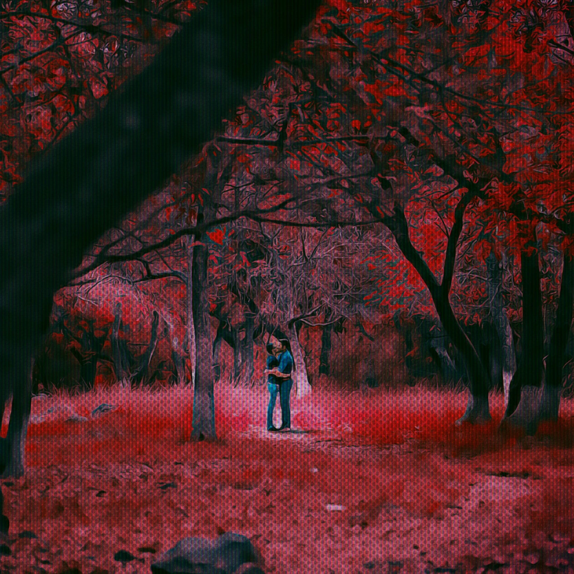 Album cover of cozy love