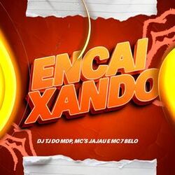 Cover of Encaixando