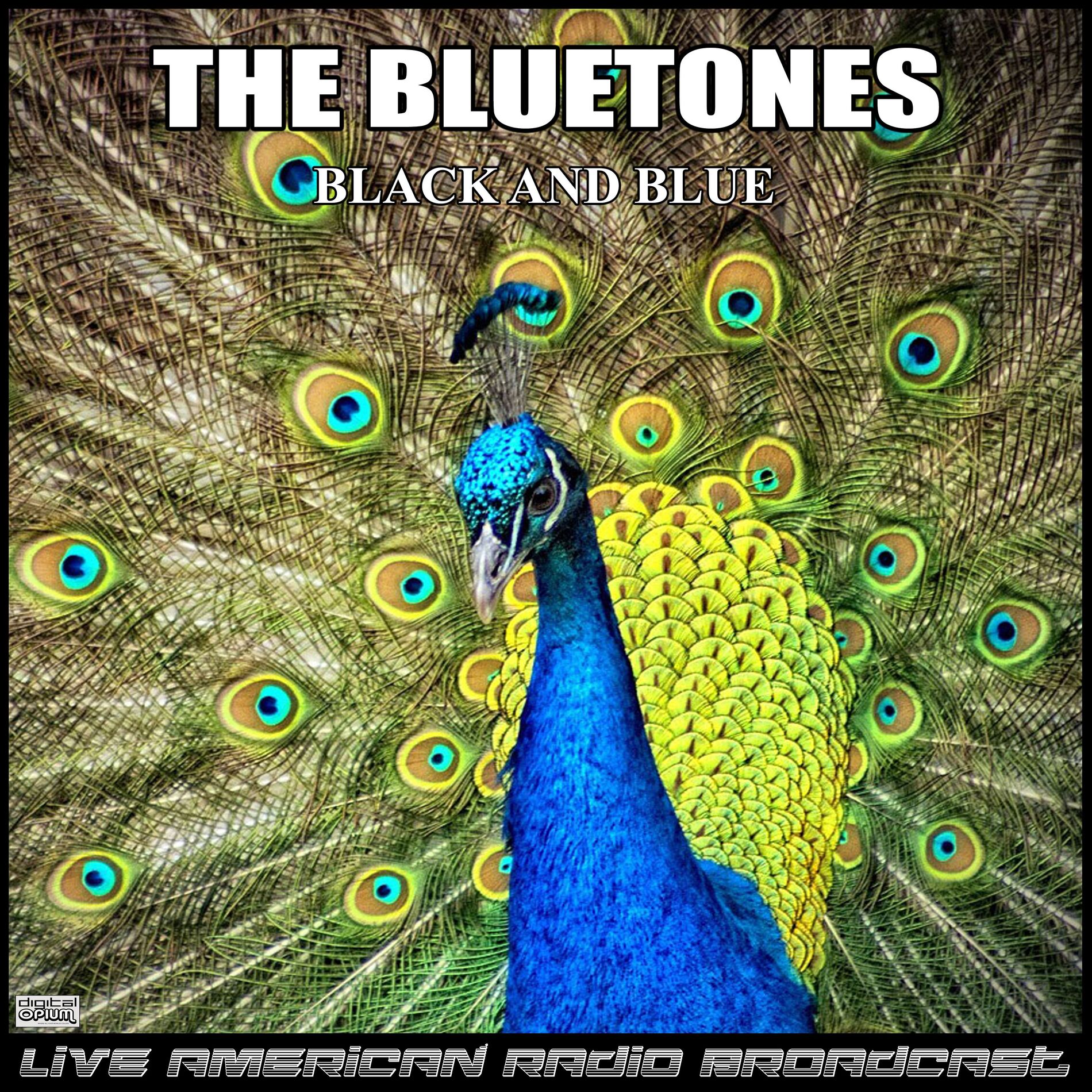 Album cover of Black And Blue (Live)