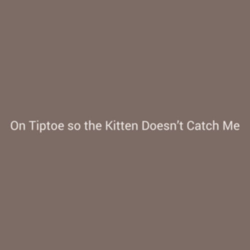 On Tiptoe so the Kitten Doesn't Catch Me