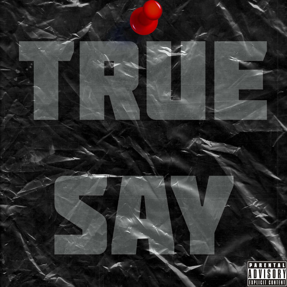Album artwork for True Say by Twine